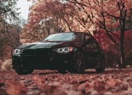 black BMW car in the forest