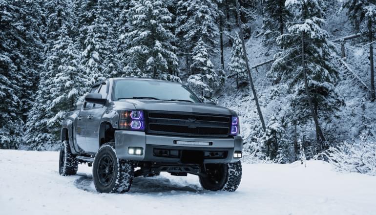 pick up truck chevrolet in the forest